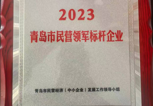 青島市民營(yíng)領(lǐng)軍標(biāo)桿企業(yè)